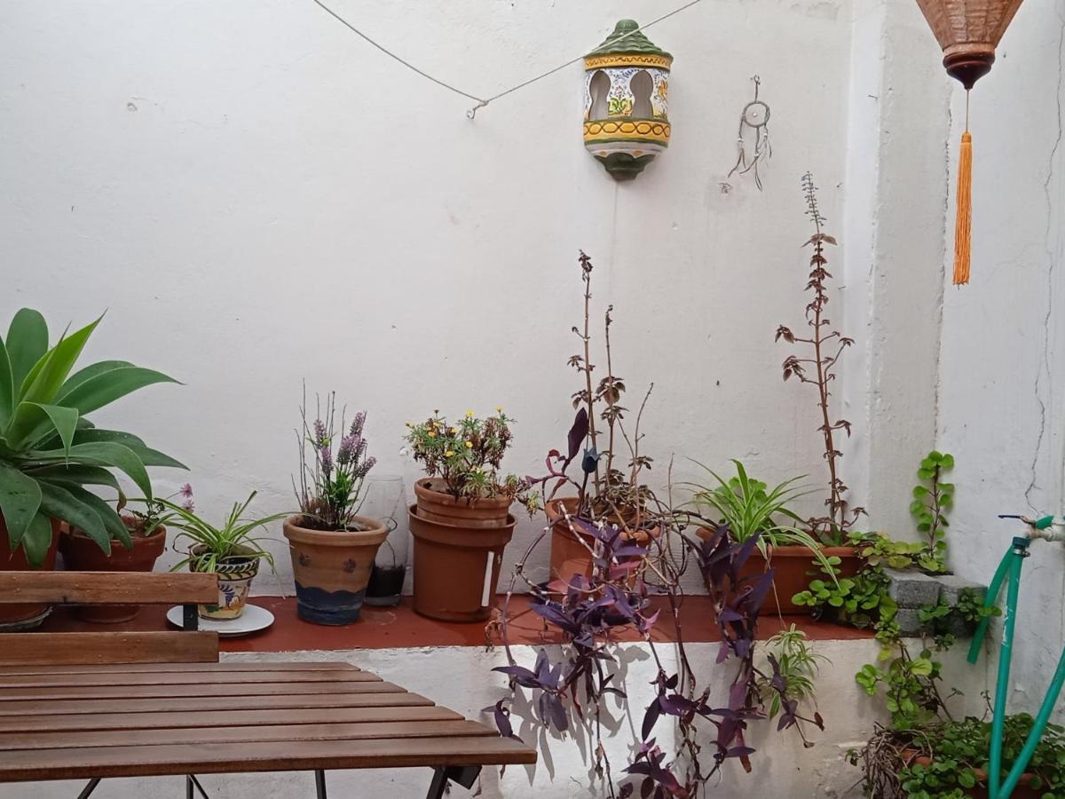 Selva La Bella. En El Corazon De Triana Apartment เซบีญา ภายนอก รูปภาพ